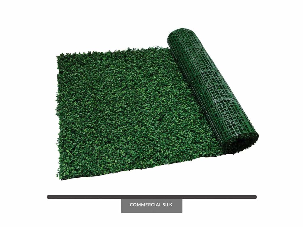 Large Leaf Boxwood Roll