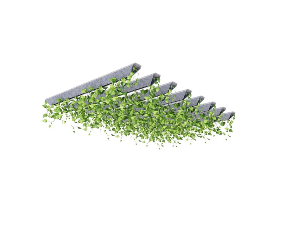 Acoustical Baffles with Hanging Greenery