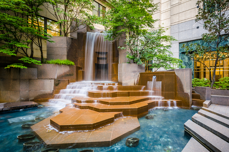 Biophilia and the Visual Connection