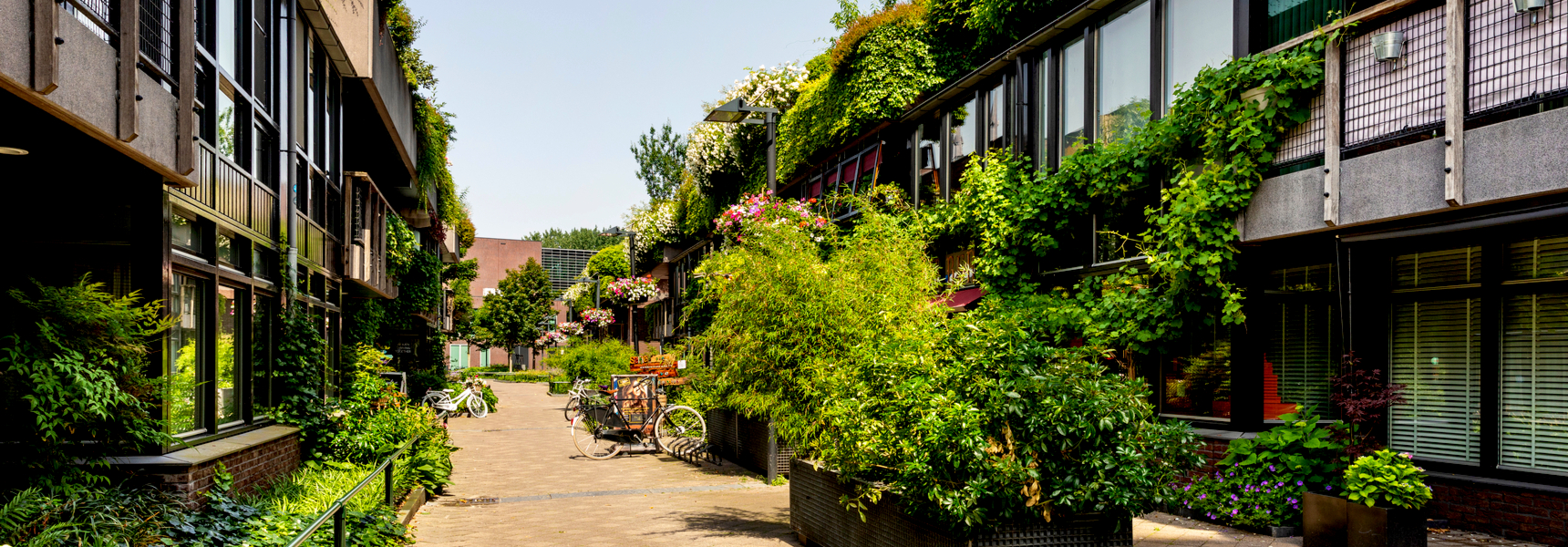 Biophilic Cities Are The Future We Need