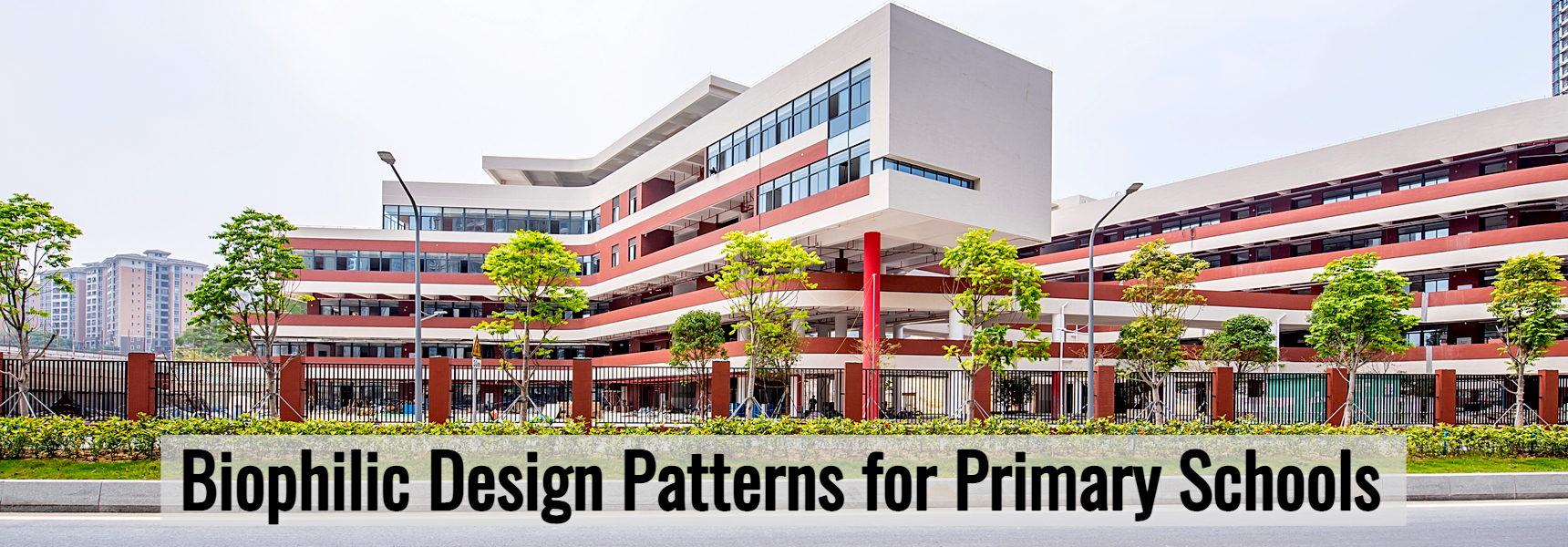 Biophilic Design Patterns for Primary Schools