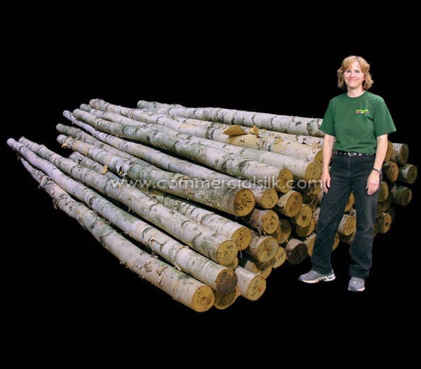 Holiday Office Decorating Ideas with Faux Birch Logs, Barks, Branches