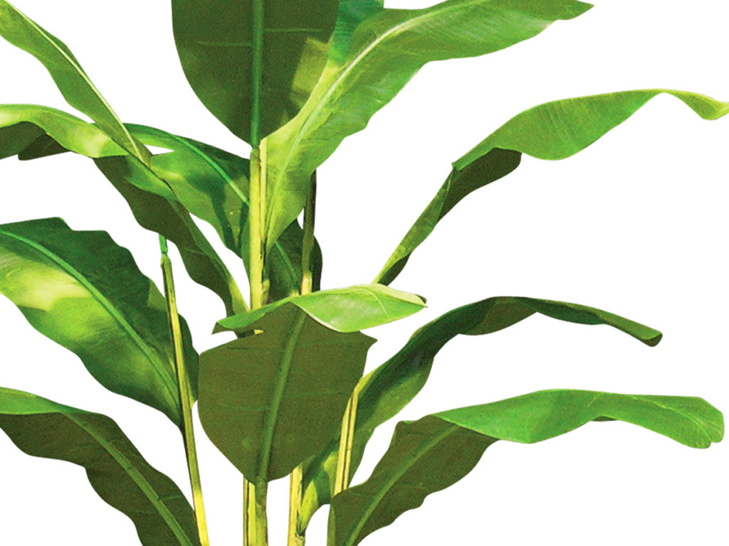 Faux Bird of Paradise Plant ID# PRG-975LTLS