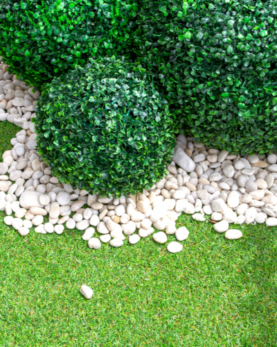 Boxwood Balls