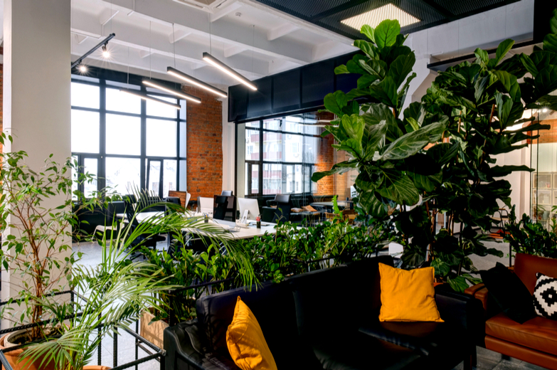 Budgeting Biophilia in Offices