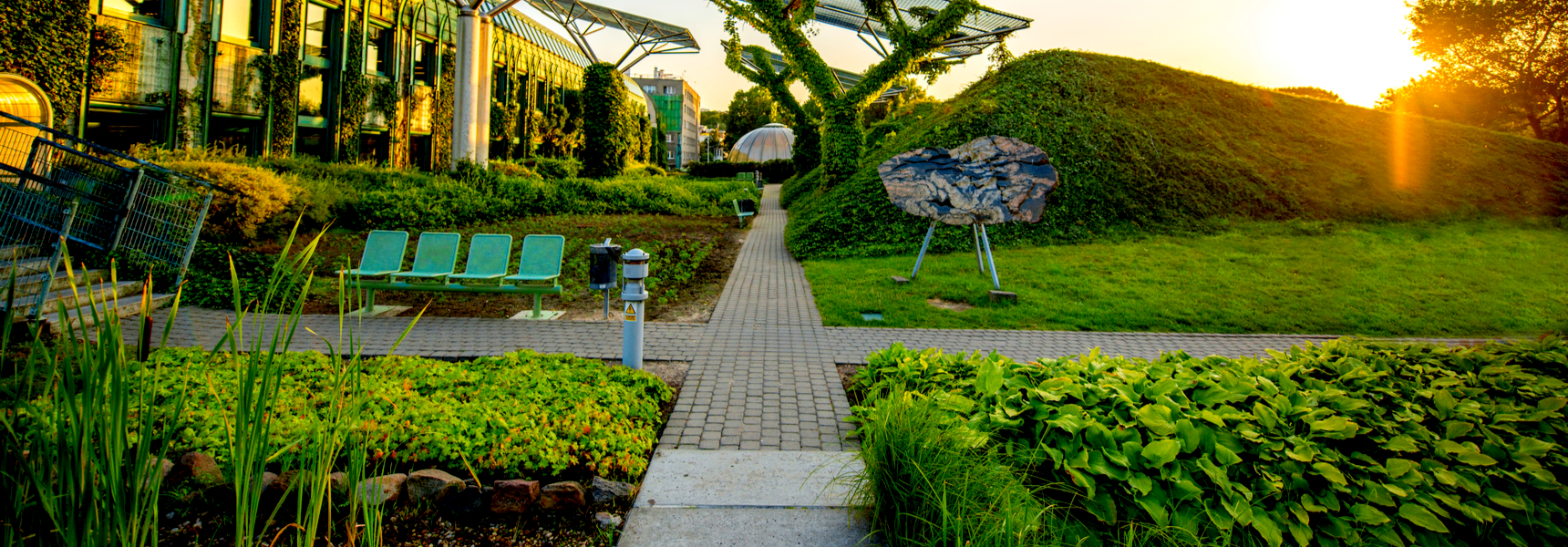 Building A Maintenance-friendly Corporate Garden
