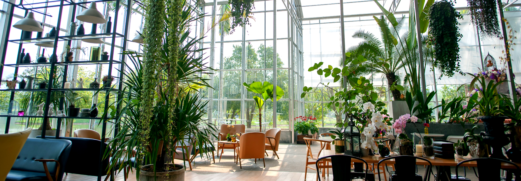 Can Biophilia Make Your Employees Happy