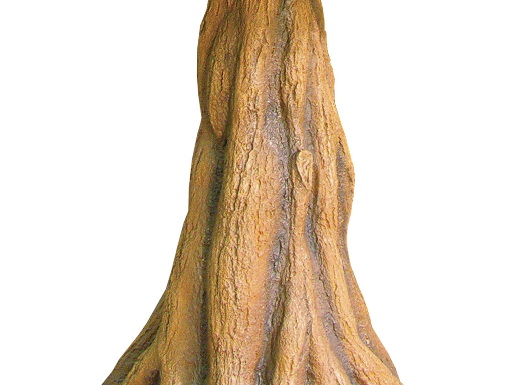 Cedar Tree, Red ID# 5797