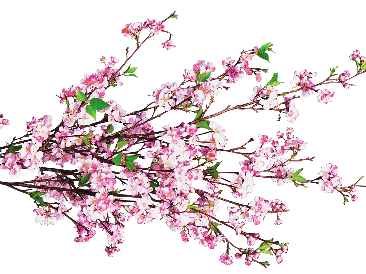 Cherry Tree, Corner ID# CUSTCHC96