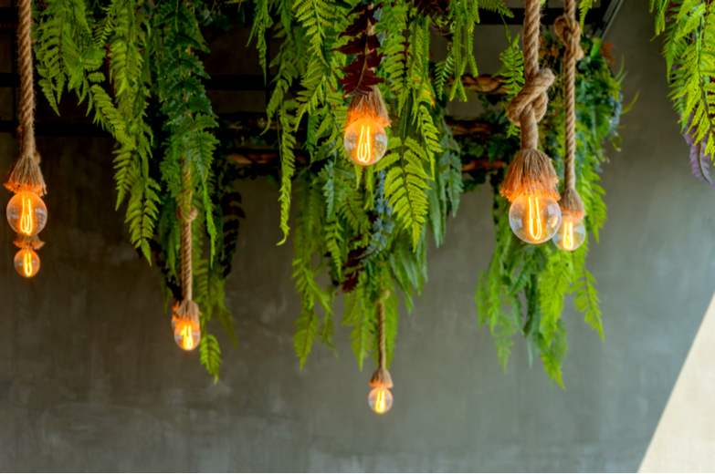 Could Biophilic Lighting be the Answer to Work-From-Home Health