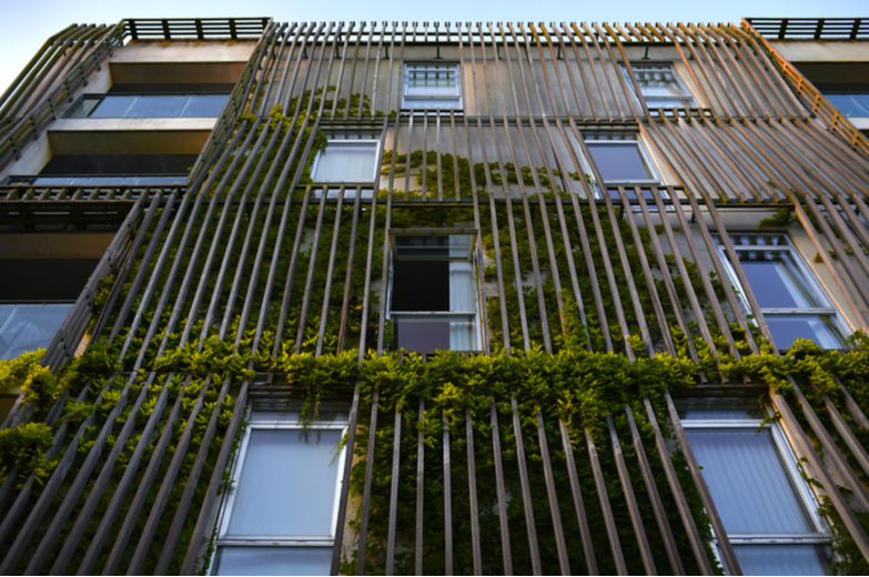 Creating a Green Façade with climbing plants
