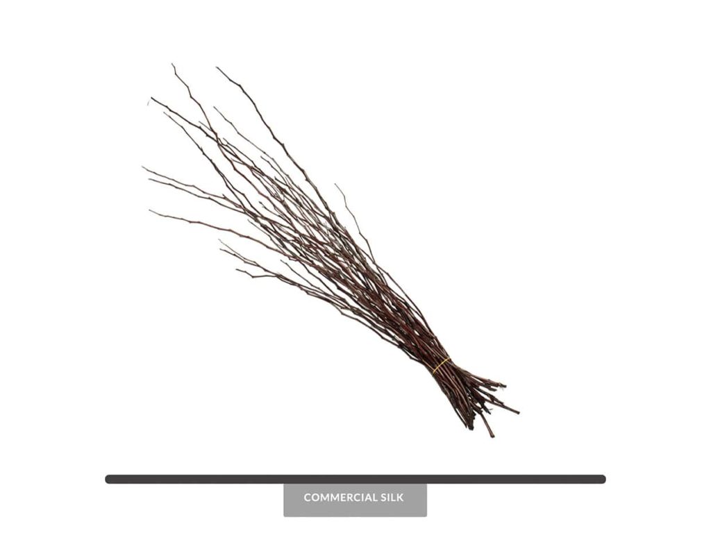 Dried Moneta Bundles Decor