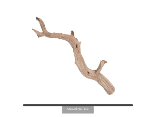Dried Ghostwood Branch