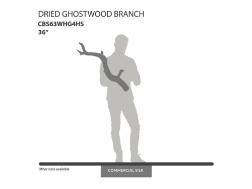 Dried Ghostwood Branch