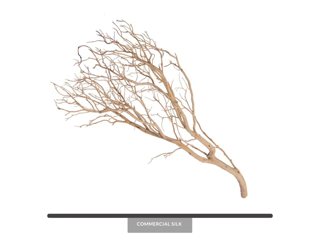 Dried Large Manzanita Branches