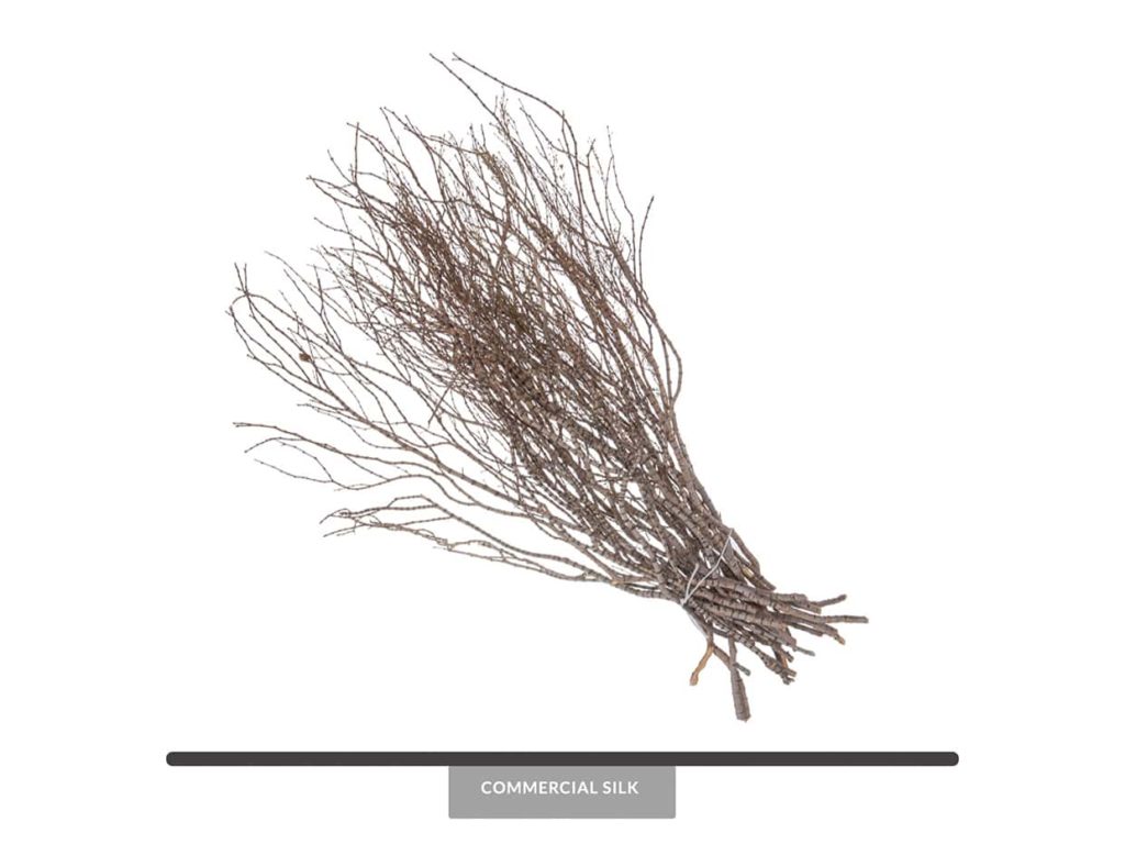 Natural Dried Tree Branches
