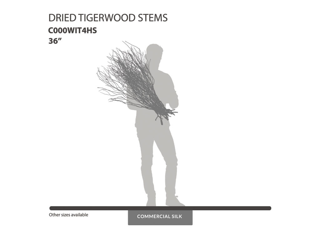 Dried Tigerwood Stems
