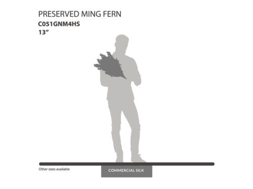 Preserved Ming Fern