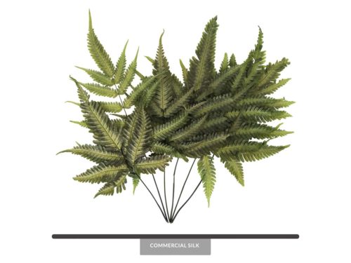 Preserved Basil Ombre Fern
