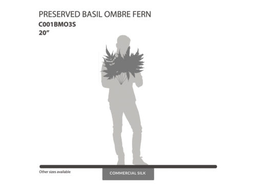 Preserved Basil Ombre Fern