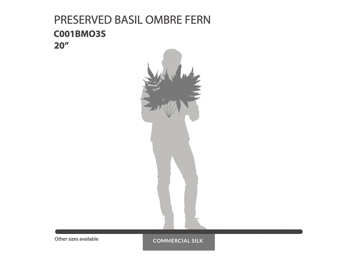 Preserved Basil Ombre Fern