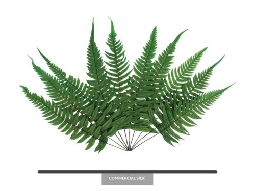 Preserved Rock Fern