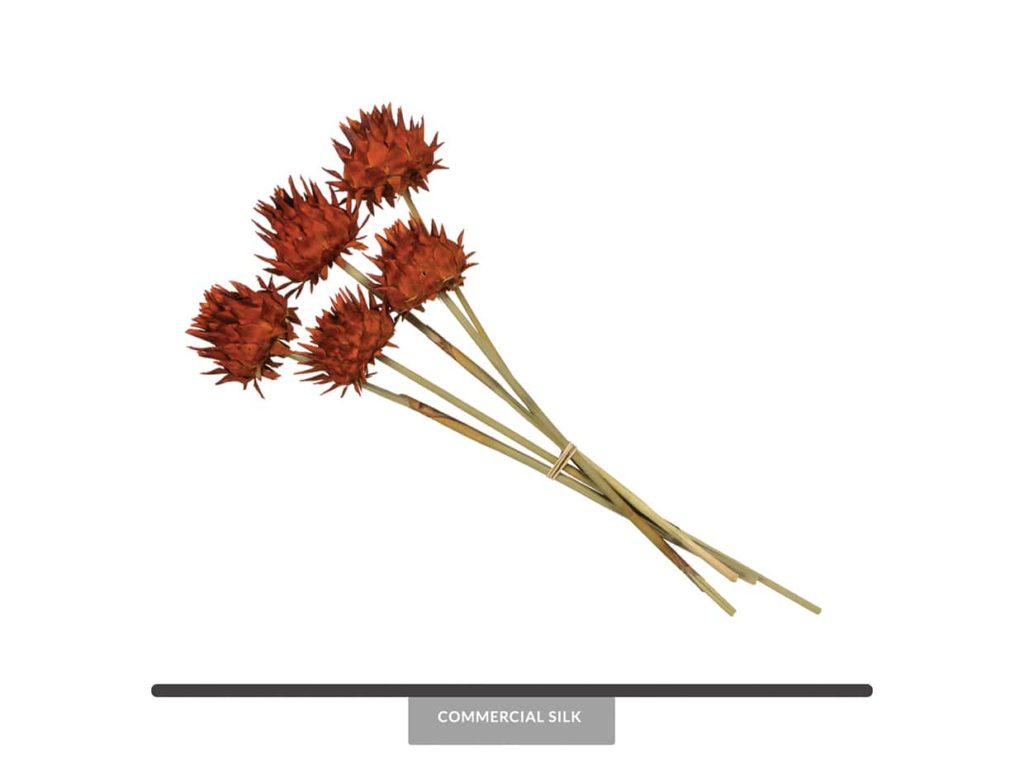 Natural Dried Flower Decor