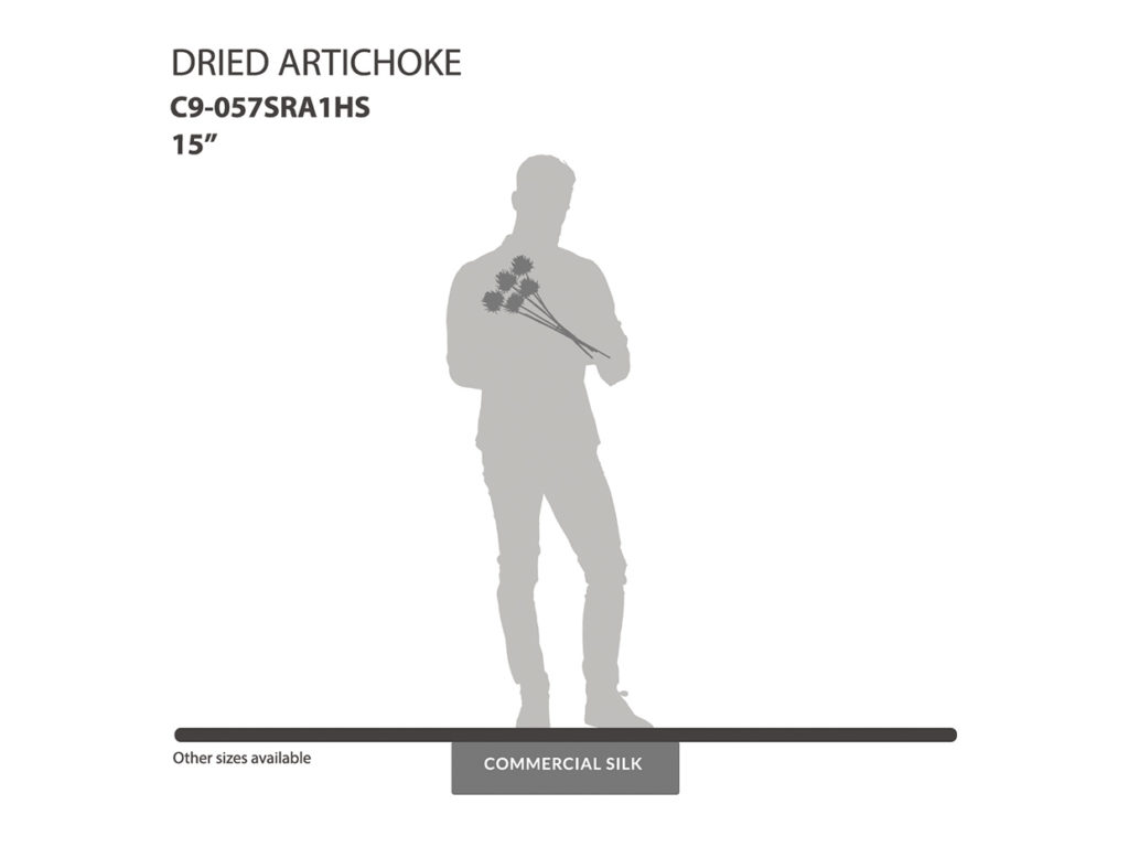 Dried Artichoke