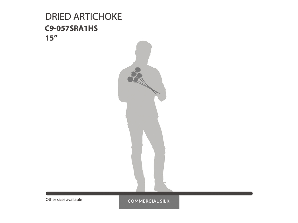 Dried Artichoke