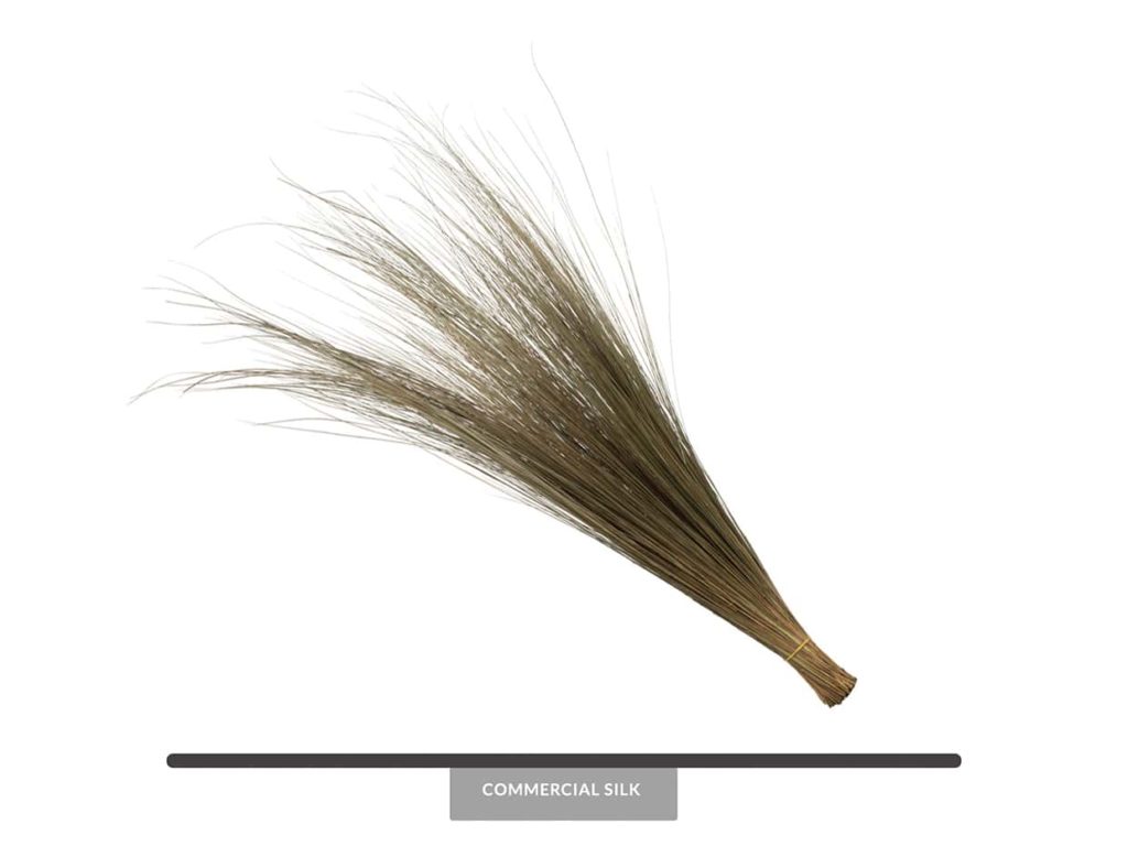 Dried Bright Grass