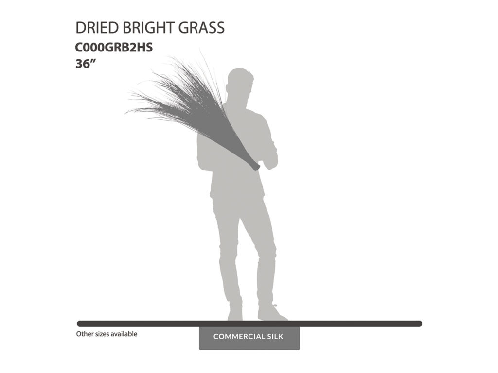 Dried Bright Grass
