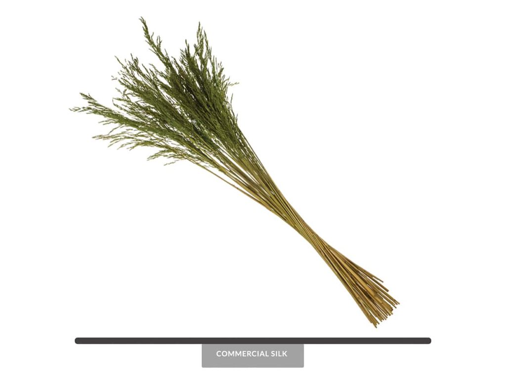 Dried Congo Grass