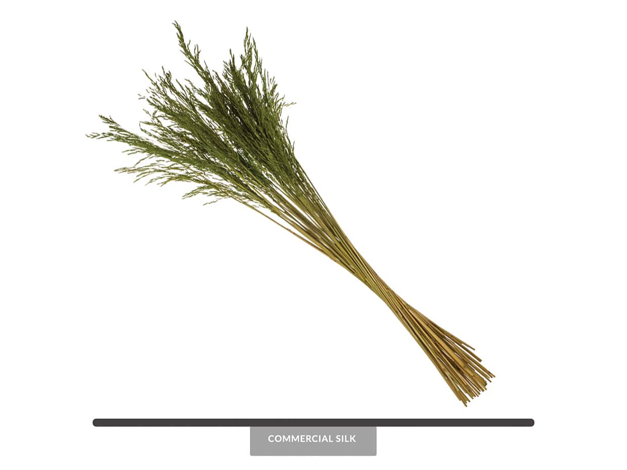 Dried Congo Grass