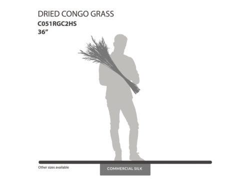 Dried Congo Grass