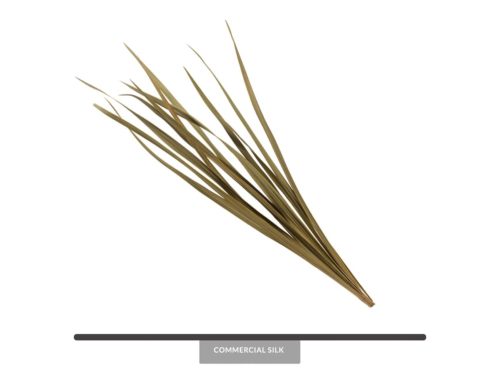 Dried Snake Grass