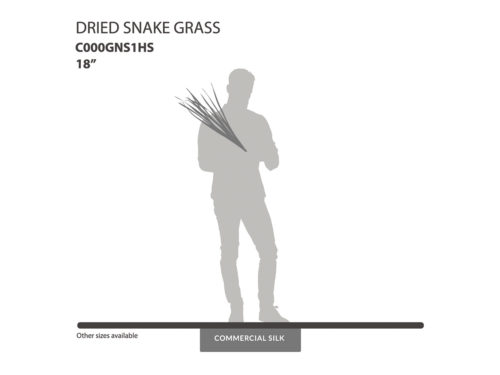 Dried Snake Grass