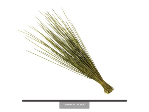 Dried Basil Whip Grass