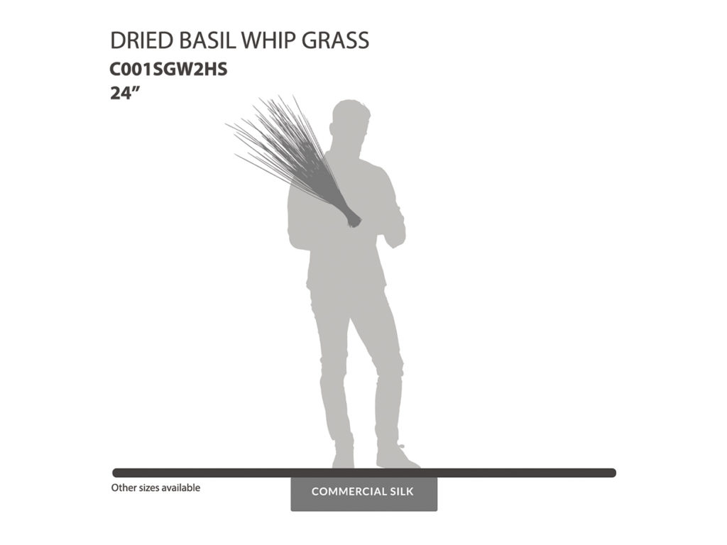 Dried Basil Whip Grass