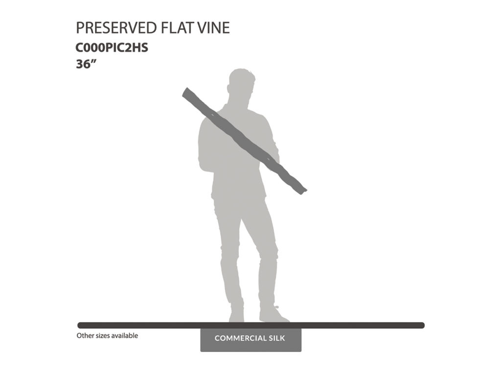 Preserved Flat Vine
