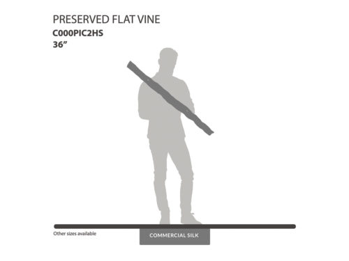Preserved Flat Vine