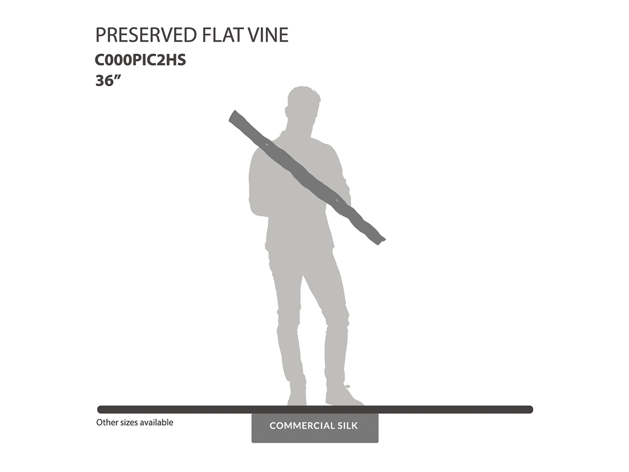 Preserved Flat Vine