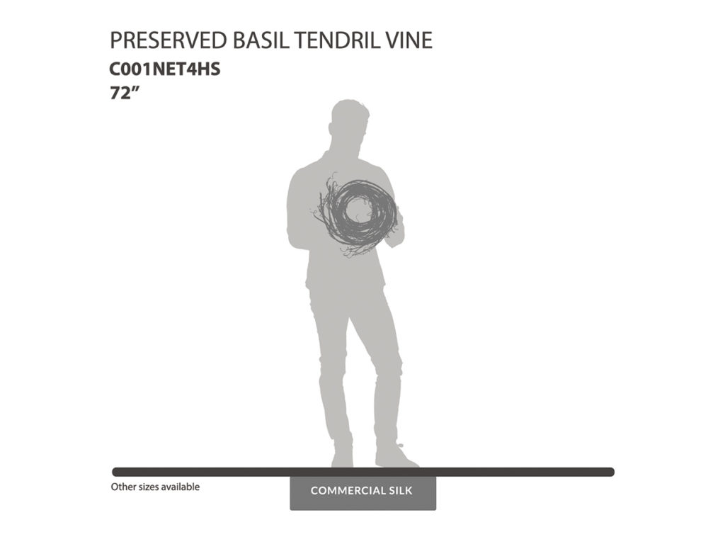 Preserved Basil Tendril Vine
