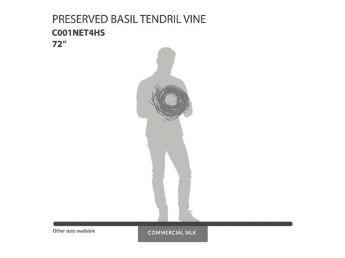 Preserved Basil Tendril Vine