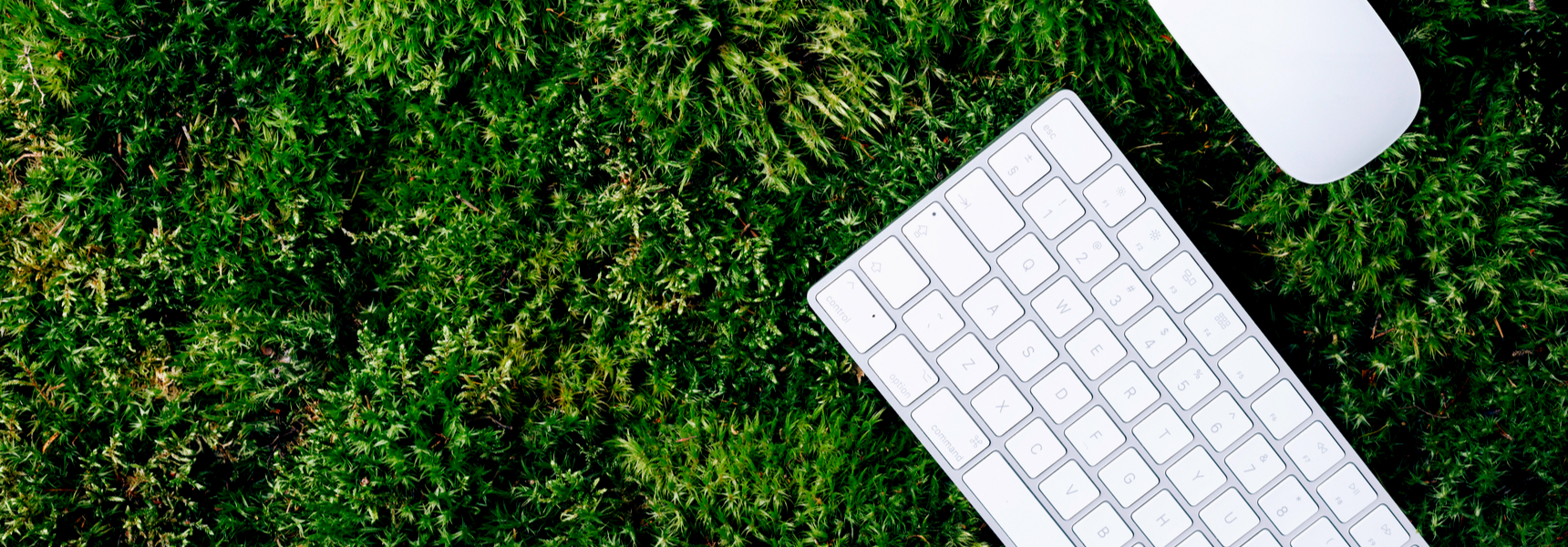 Do Biophilic Spaces Save Money