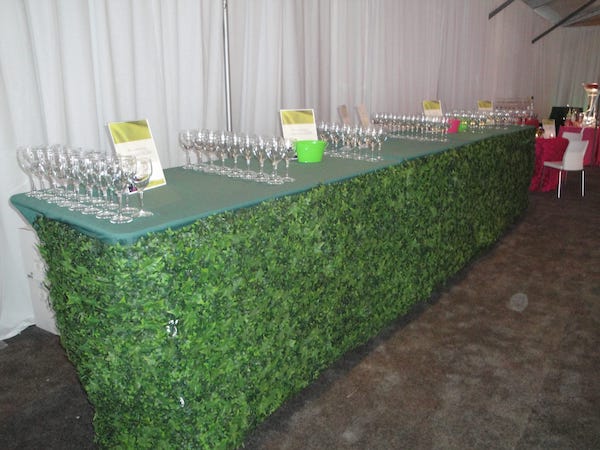 English Ivy Mat Foliage