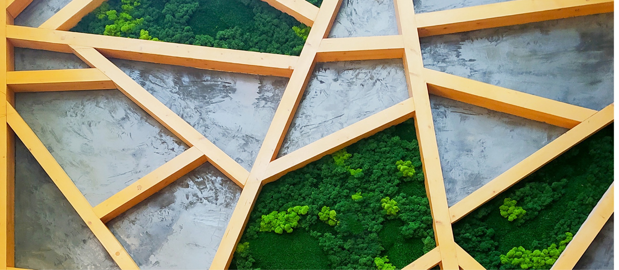 custom preserved moss wall art