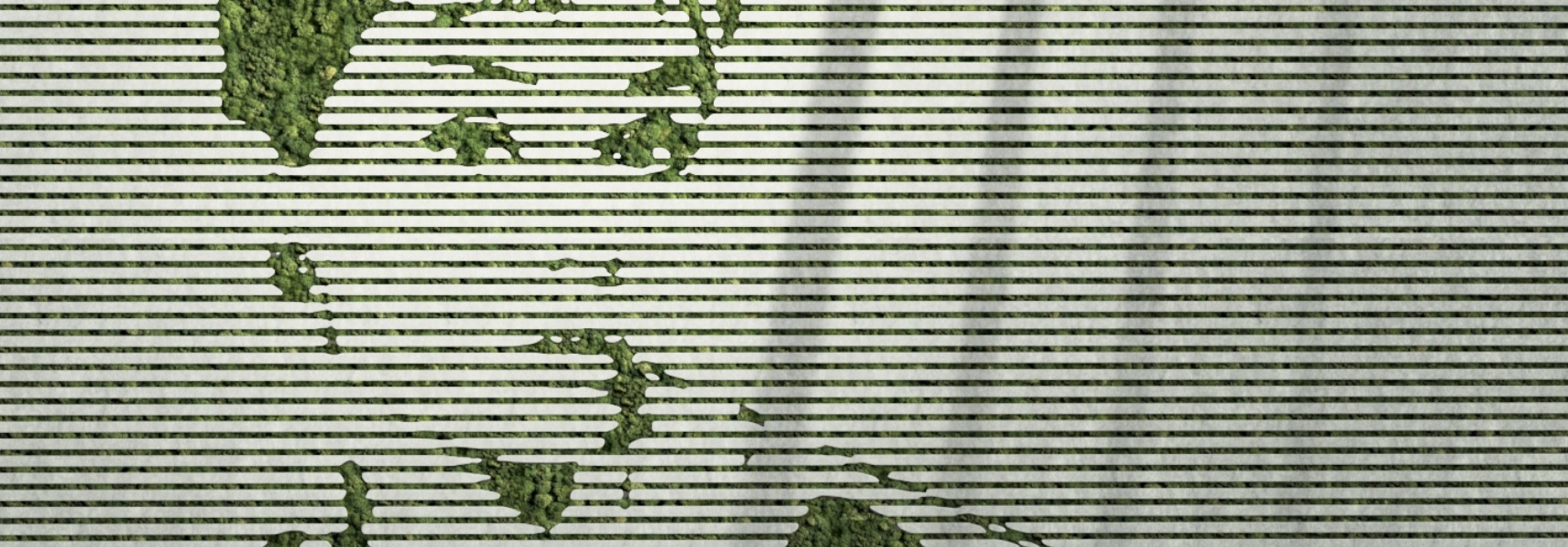 Moss Wall Art