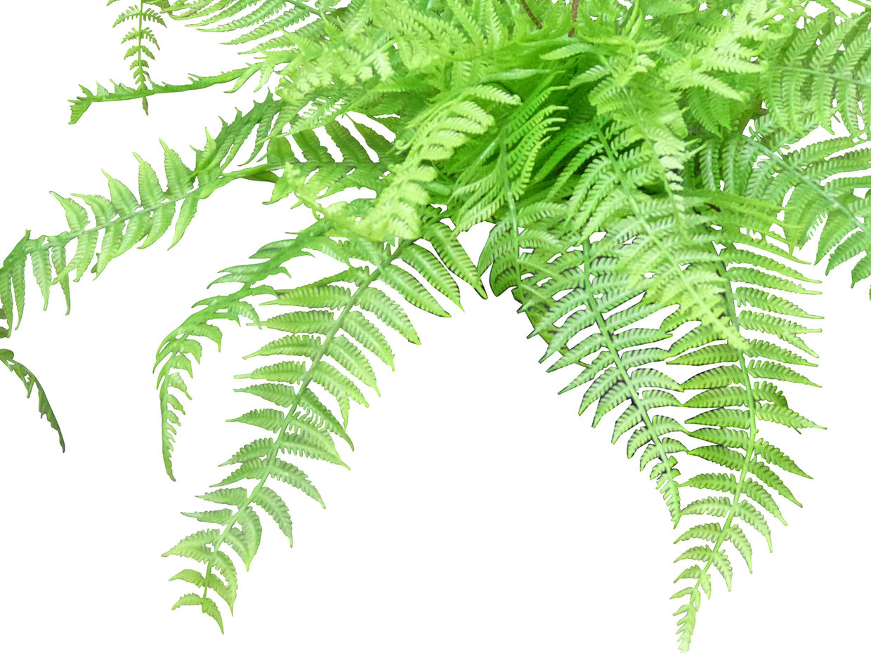 Leather Leaf Fern Plant Artificial Fern Foliage Commercial Silk