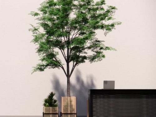 BIO-TRB-001