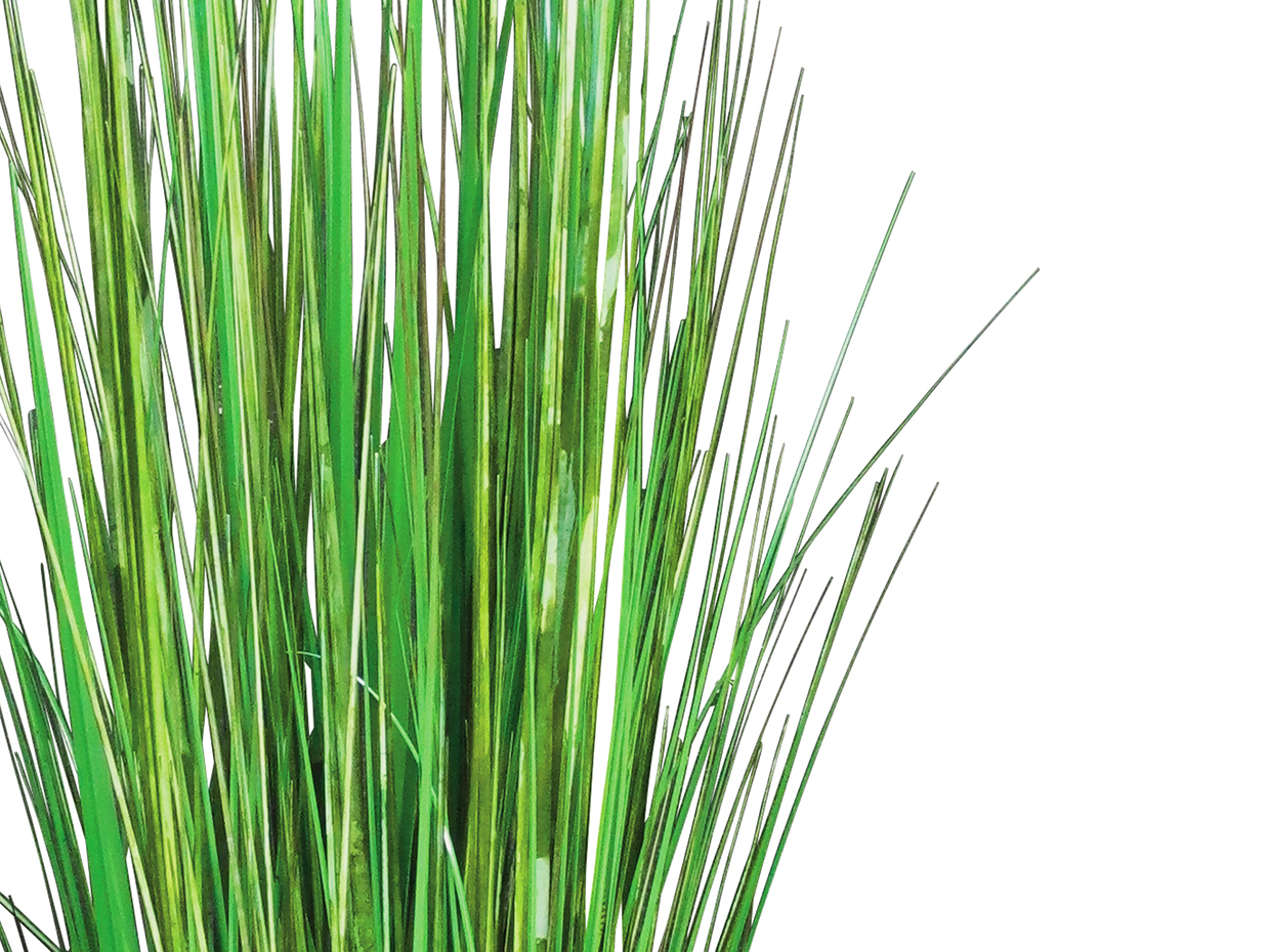 Fountain Grass Artificial Grass Plants Indoor Commercial Silk